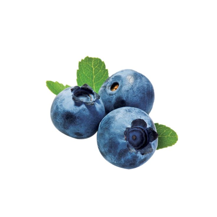 Blueberry